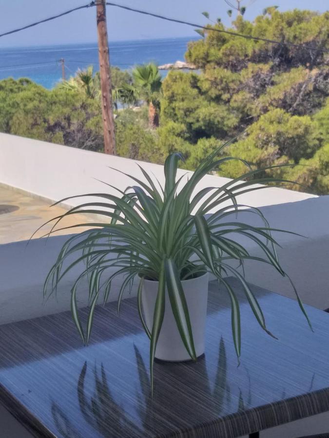 Meltemi Apartment Posidhonia  Luaran gambar